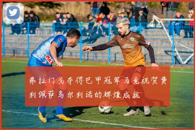 弗拉门戈夺得巴甲冠军马竞祝贺费利佩萨乌尔利诺的辉煌成就