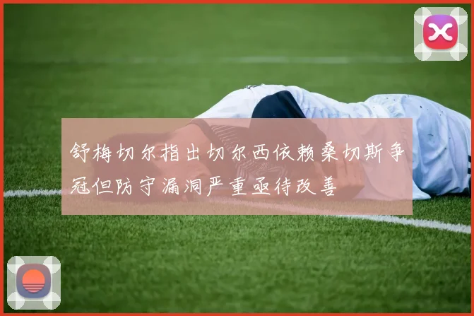 舒梅切尔指出切尔西依赖桑切斯争冠但防守漏洞严重亟待改善