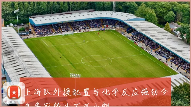 上海队外援配置与化学反应强劲今年争冠势头不可小觑