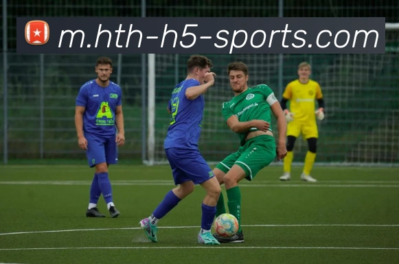 华体会体育平台生态图