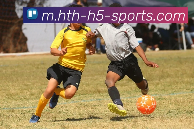 华体会体育APP 封面图